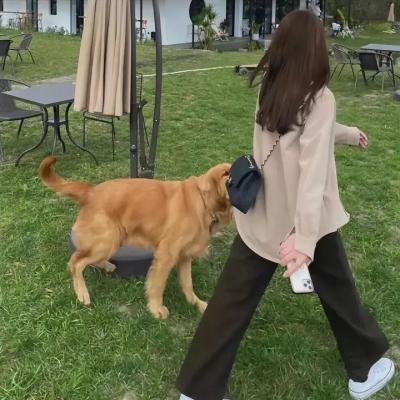 外星人电视第一季